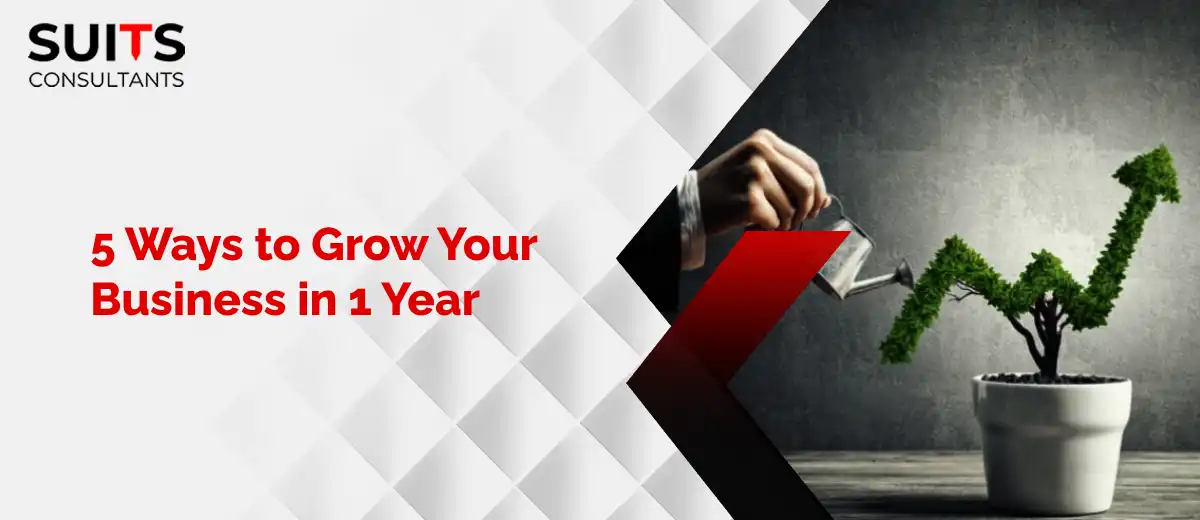 5 Ways to Grow Your Business in 1 Year